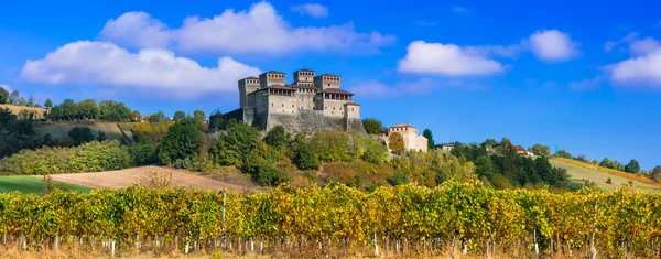 葡萄园和意大利-Torrechiara （在帕尔马附近的城堡) — 图库照片