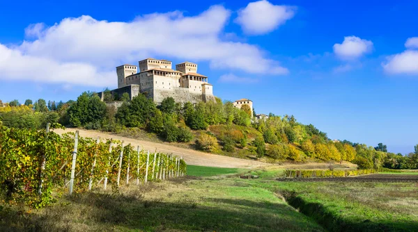 葡萄园和意大利-Torrechiara （在帕尔马附近的城堡) — 图库照片