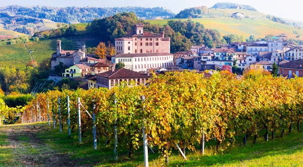 Zamek z Barolo i wieś - jeden z najbardziej znanych regionów winorośli, Piemonte, Włochy. — Zdjęcie stockowe