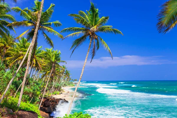 Wild tropical beaches of Sri Lanka — Stock Photo, Image