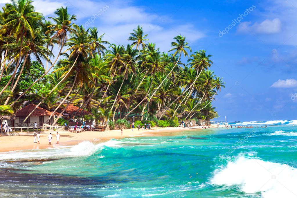 унаватуна шри ланка. шри ланка в январе куда поехать. тангалле шри ланка. шри ланка туристы. северо-восточная шри-ланка в мае.