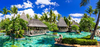 Tropik tatiller. Mauritius adasında yüzme havuzu ve lounge bar.