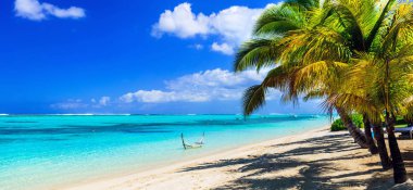 mükemmel tropikal tatil - beyaz kumlu plajları, Mauritius Adası.