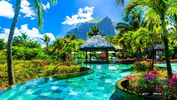 Férias tropicais - relaxante bar piscina. Ilha Maurícia — Fotografia de Stock