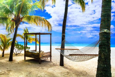 Tropikal tatil palmiye ağacı altında hamak ile rahatlatıcı. Mauritius Adası.