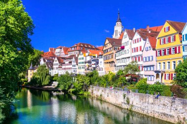 Güzel çiçek renkli şehir Tübingen Almanya Baden-Wurtte