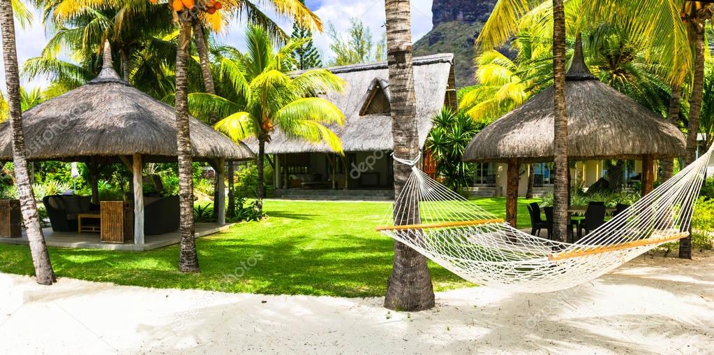Relaxing tropical holidays with hammock under palm tree. Mauritius island.