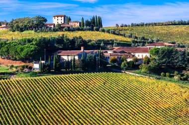 Güzel Tuscany kırsal - wineyards Chianti bölgesinde, İtalya.