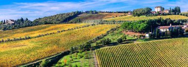Beautiful Tuscany countryside - vast wineyards in Chianti region clipart