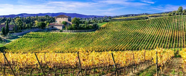 Malerische toskanische Landschaft mit Weinbergen. italien, chianti region. — Stockfoto