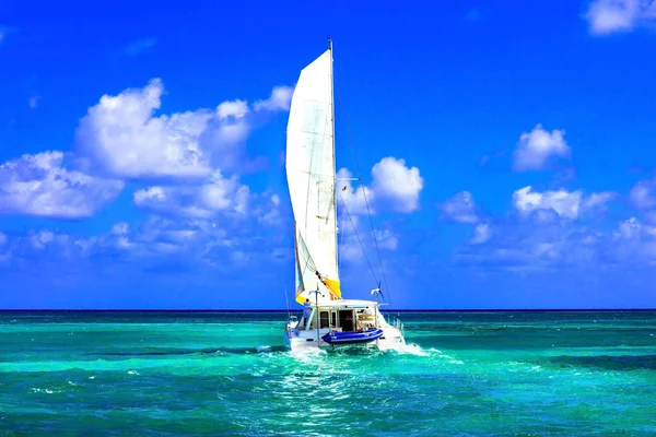 Catamarano a vela in mare aperto con tempo soleggiato . — Foto Stock