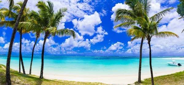 Idyllic tropical scene with palmtrees and turquoise sea. Mauritius. — Stock Photo, Image