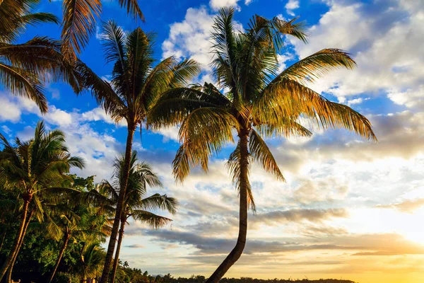 Sahne rahatlatıcı-tropikal günbatımı — Stok fotoğraf