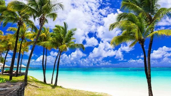 Tropical scenery. Beautiful palm beach with turquoise waters, Mauritius island. — Stock Photo, Image