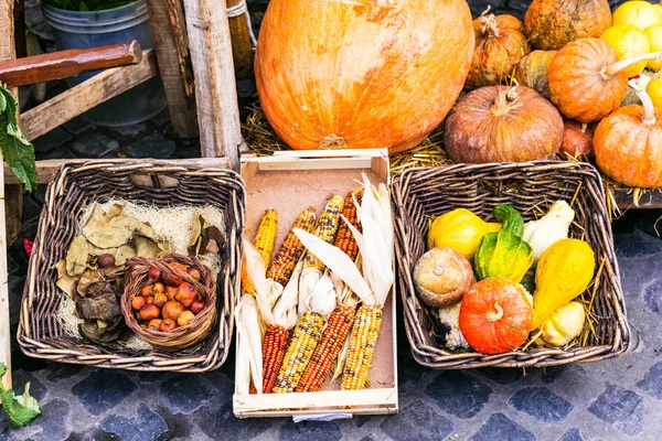 Autumn harvest. Market still life from vegetables — Stock Photo, Image