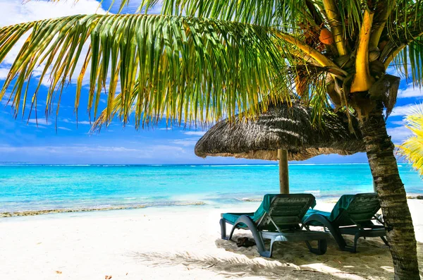 Tatil tropikal adada rahatlatıcı romantik — Stok fotoğraf
