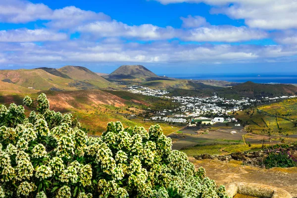 Lanzarote - ज्वालामुखी द्वीप की प्रभावशाली सुंदरता.हरिया गांव का दृश्य . — स्टॉक फ़ोटो, इमेज