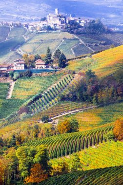 Üzüm bağları ve Piemonte kaleler sonbahar renkleri. İtalya