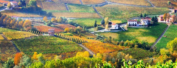 Campagna pittorica e bellissimi vigneti del Piemonte in autunno, Italia . — Foto Stock