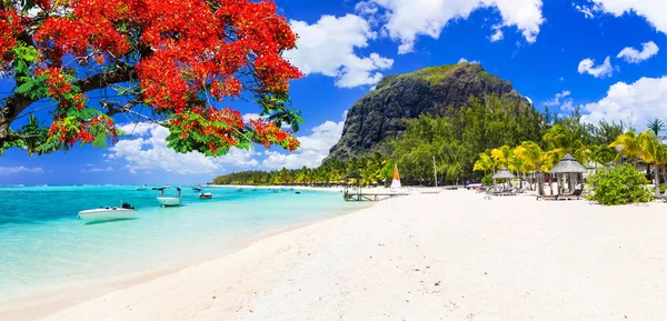 Krásné pláže slunečného ostrova Mauricius. Tropická dovolená — Stock fotografie