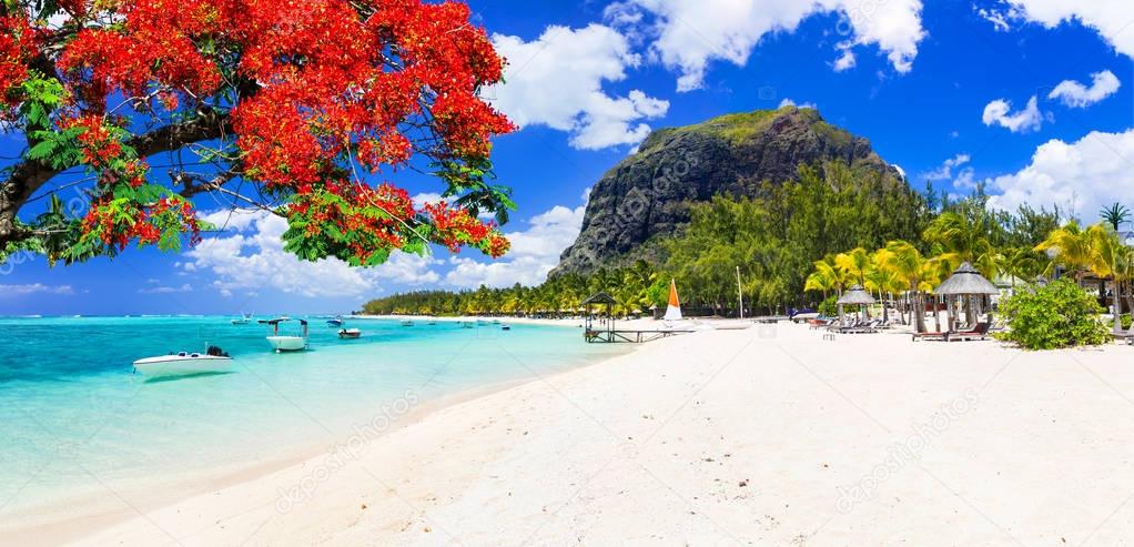 Beautiful beaches of sunny Mauritius island. Tropical vacations