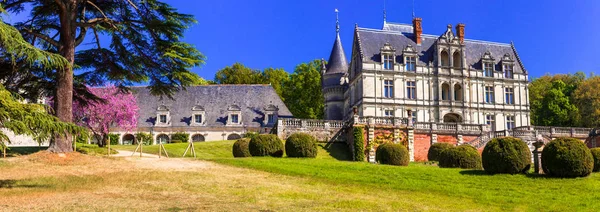 Romantyczne pięknych zamków Doliny Loary, zamek Bourdaisiere, Francja. — Zdjęcie stockowe