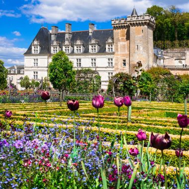 Amazing Villandry  castles of Loire valley with beautiful gardens, France clipart