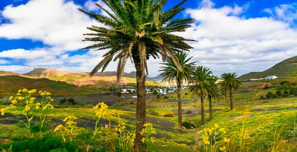 Lanzarote - volkanik Adası'nın etkileyici güzelliği. — Stok fotoğraf