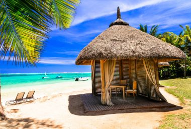 Tropikal tatil rahatlatıcı. palm, Mauritius Adası altında plaj bungalov ile sahne.