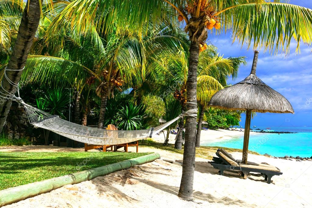 Relaxing tropical holidays. scenery with hammock under palm tree,Mauritius island.