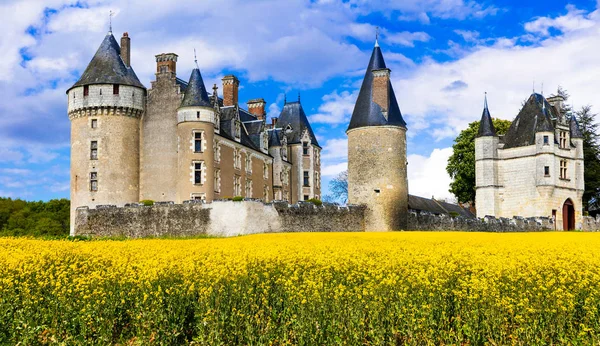 Fantastiska slotten i Loiredalen - Montpoupon. Frankrike — Stockfoto