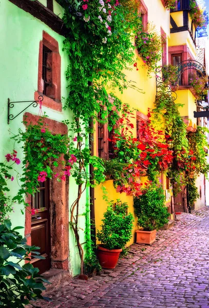 Цветочный традиционный город Кольмар с очаровательными старинными улицами в Эльзасе, Франция . — стоковое фото
