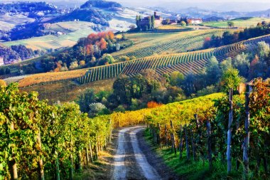 Vineyards and castles of Piemonte in autumn colors. North of Italy. clipart