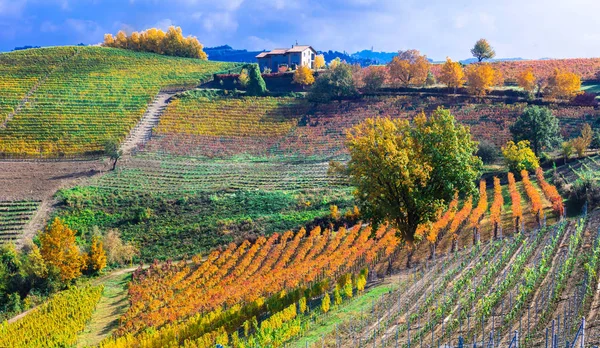 Paisaje de otoño. viñedos y paisajes pintorescos de Piamonte, Italia . — Foto de Stock