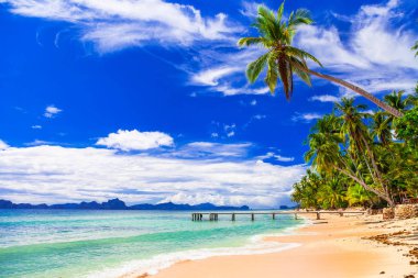 Tropikal plaj sahne - vahşi güzel plajları, Filipinler, 