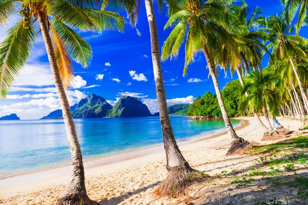 Cenário tropical relaxante com bela praia de palmeiras — Fotografia de Stock