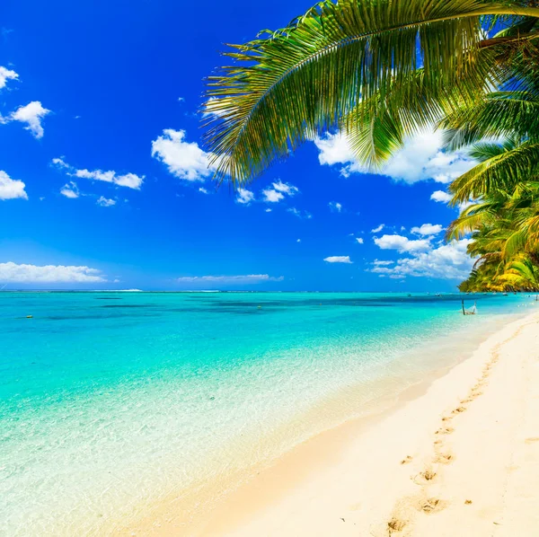 Tropical getaway - perfect beach with turquoise waters — Stock Photo, Image