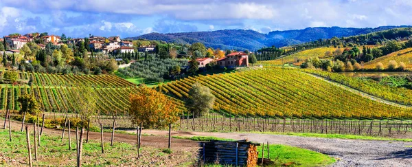 Campagna panoramica con vigneti nei colori autunnali. Toscana, Italia . — Foto Stock