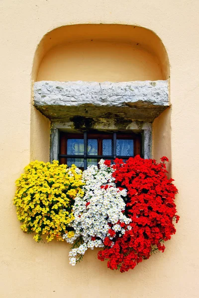 Encantadora composición floral con flores vívidas. decoración de ventana — Foto de Stock
