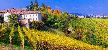 Üzüm bağları ile doğal kırsal. Sonbahar sahne. Piedmont bölgesi, İtalya.