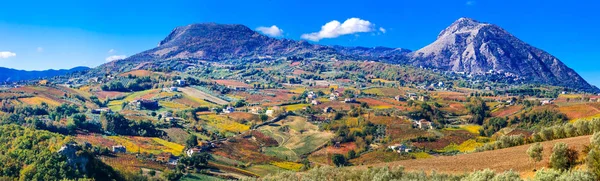 Tappeto colorato di vigneti nei colori autunnali. Benevento, Italia — Foto Stock