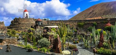  Kaktüs garden - Lanzarote, Kanarya Adası popüler turistik cazibe.