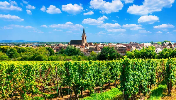 Región de Alsacia de Francia - famosa "Ruta de la vid" en hermosos viñedos . —  Fotos de Stock