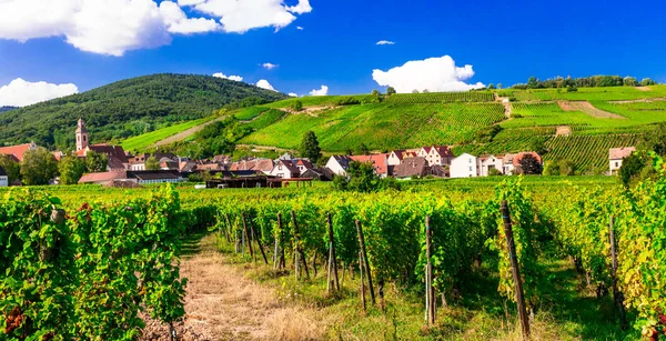 Vignobles de France. Célèbre région Alsace avec village traditionnel pictural . — Photo