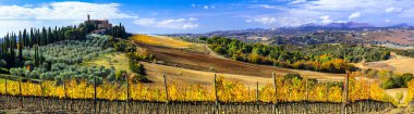 Traditional countryside and landscapes of beautiful Tuscany.  clipart
