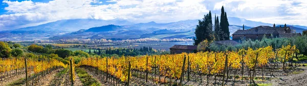 Paisagens rurais tradicionais da Toscana. vastos campos de vinhas — Fotografia de Stock