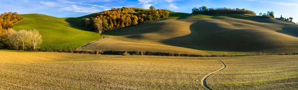 Pastoral kırsal manzara ve Toskana pitoresk manzaralar. İtalya