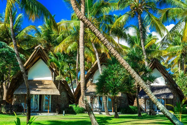 Exotic tropical vacation - bungalows under palm trees. Mauritius — Stock Photo, Image