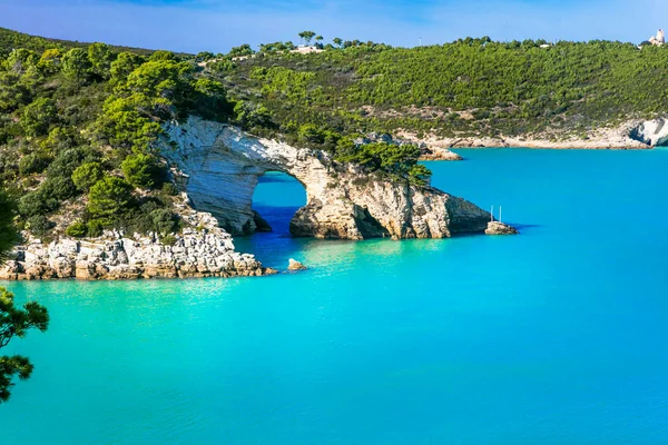 Vacanze italiane in Puglia - Parco naturale del Gargano con bellissime anadi mare rocce uniche . — Foto Stock