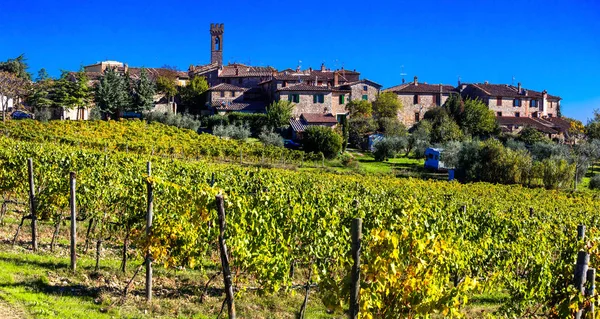 Viñedos y pueblos de Toscana, Chianti famosa región vinícola —  Fotos de Stock